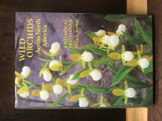 Wild Orchids across North America